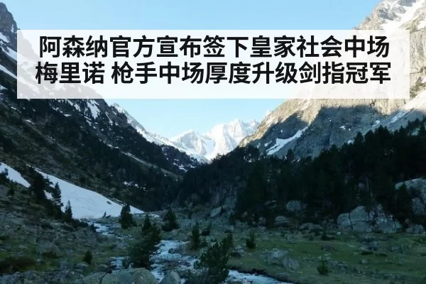 阿森纳官方宣布签下皇家社会中场梅里诺 枪手中场厚度升级剑指冠军